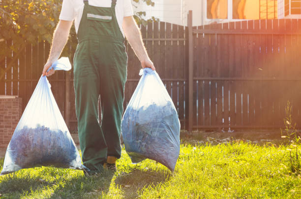 Best Basement Cleanout  in Lincolnton, GA