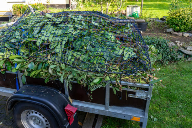 Best Dumpster Rental Services  in Lincolnton, GA